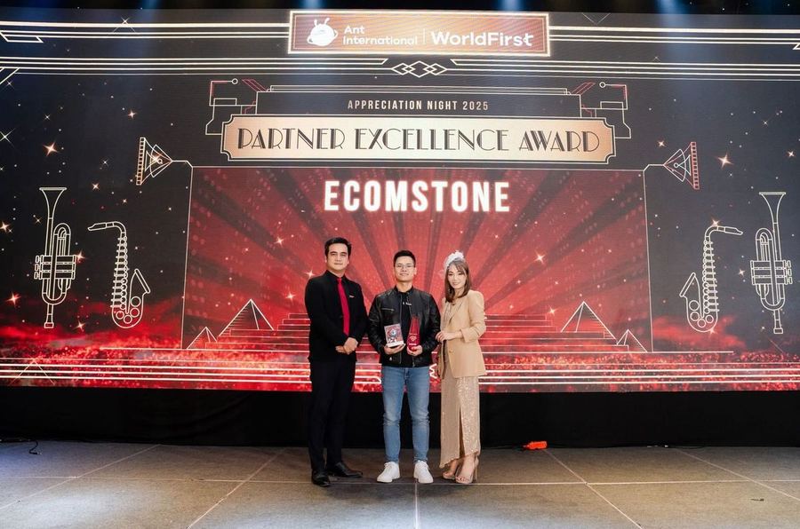 Partner Excellence Award Ecomstone